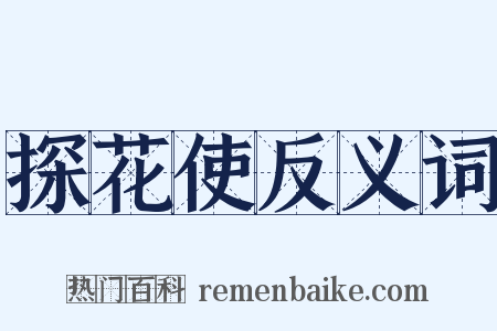 探花使反义词是什么意思的图片